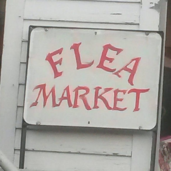 Meet your Posher, Rose - Picture 2 of 8